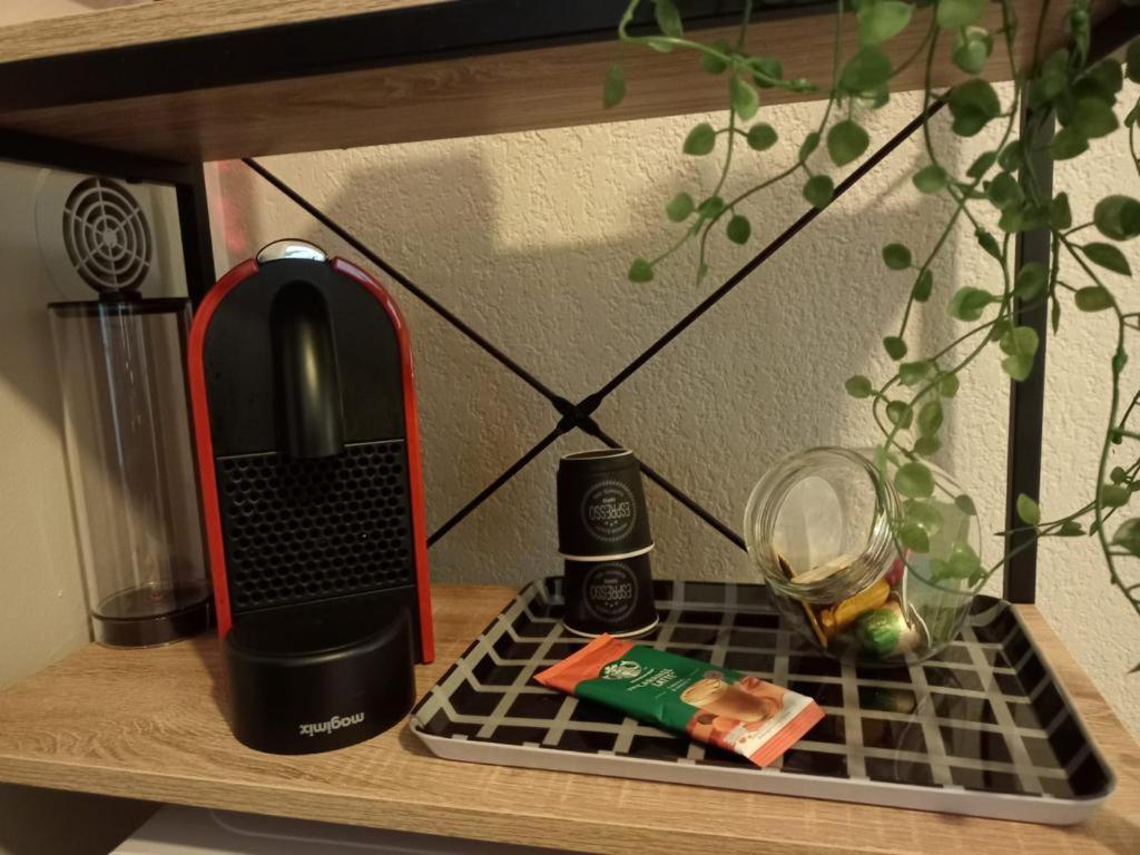 Appartement Calme Et Bien Situe Tarbes Dış mekan fotoğraf